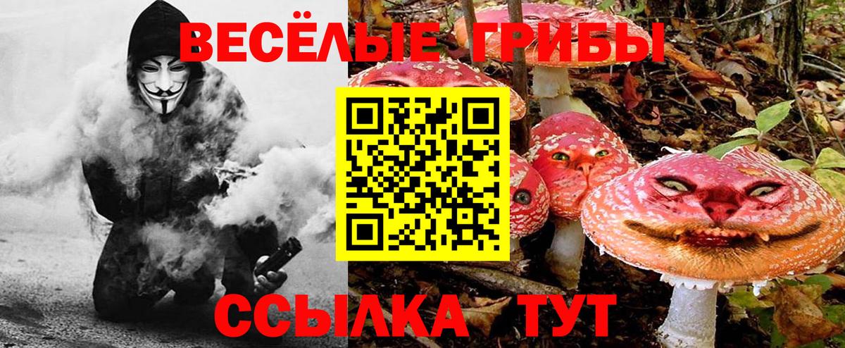 Галлюциногенные грибы Cubensis Приморско-Ахтарск