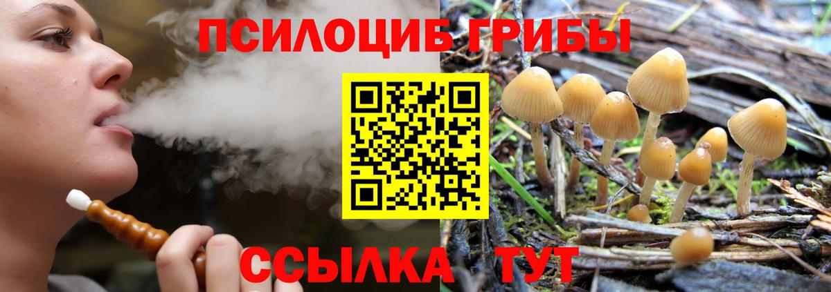 Приморско-Ахтарск  Галлюциногенные грибы Psilocybine cubensis  Вход с VPN  Псилоцибиновые грибы мицелий 